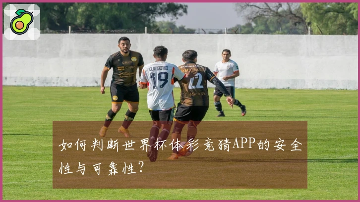 如何判断世界杯体彩竞猜APP的安全性与可靠性？