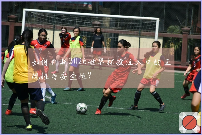 如何判断2026世界杯投注入口的正规性与安全性？