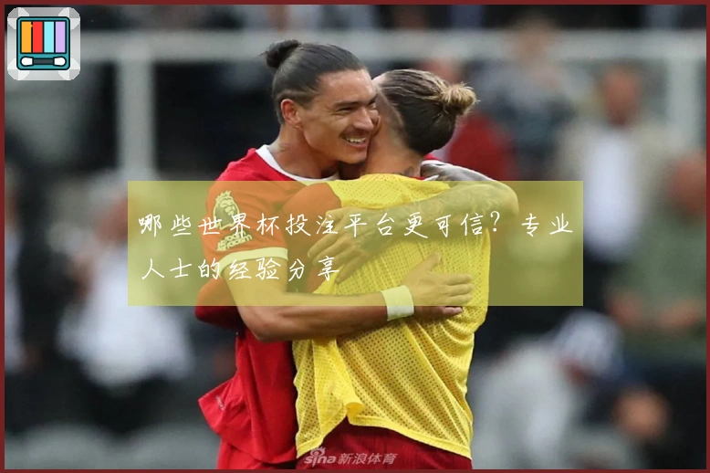 哪些世界杯投注平台更可信？专业人士的经验分享