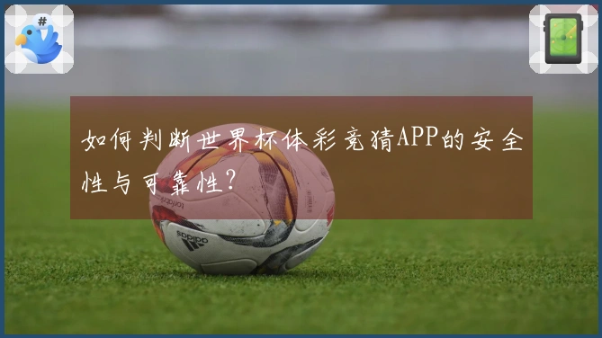 如何判断世界杯体彩竞猜APP的安全性与可靠性？