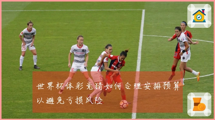 世界杯体彩竞猜如何合理安排预算以避免亏损风险