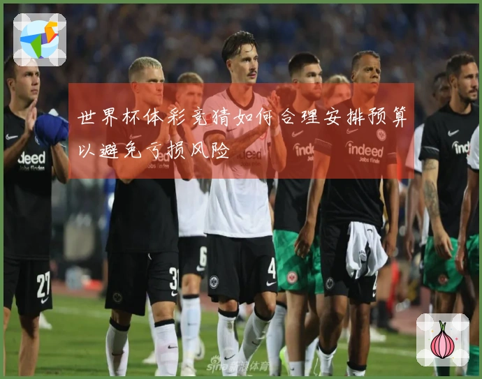 世界杯体彩竞猜如何合理安排预算以避免亏损风险